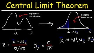 Central Limit Theorem  Sampling Distribution of Sample Means  Stats amp Probability [upl. by Anoyet106]