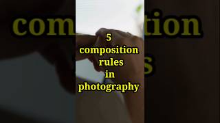 Composition rules in photography shorts photographytips shortvideo [upl. by Anilrahc]