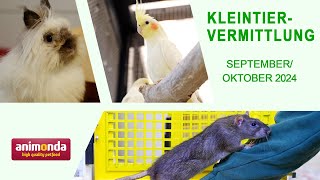 Kleintiervermittlung  SeptemberOktober 2024 Tierheim Hannover TV [upl. by Sadie920]