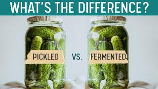 PICKLING vs FERMENTING  Whats the Difference Quick Grocery Store ID [upl. by Cis]