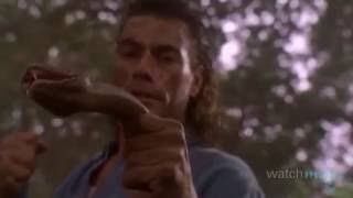 Top 10 JeanClaude Van Damme Moments [upl. by Aluin953]