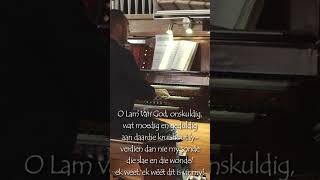 40 Liedere vir 40 dae  DAG 10 music churchorgan song organist advent 377 lied377 [upl. by Fihsak941]