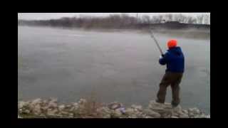 Brads Asian Carp at Powerton Lake Illinois [upl. by Eirallih]