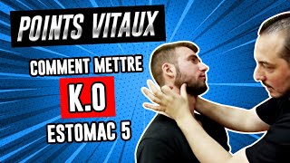 Comment faire un KO avec le POINT DE PRESSION quotEstomac 5quot Kyusho Jitsu [upl. by Kotick934]