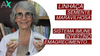 10 MELHORES ÓLEOS DE LINHAÇA  Qual é o Melhor Óleo de Linhaça Óleo de Linhaça e seus Benefícios [upl. by Seaddon76]