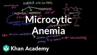 Microcytic anemia  Hematologic System Diseases  NCLEXRN  Khan Academy [upl. by Consuelo]