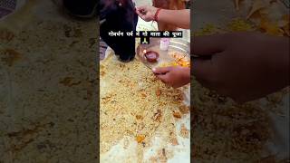 गोवर्धन पर्व में गौ माता की पूजा 🙏 vlog food chhattisgarh shorts diwali culture [upl. by Ynohtna]