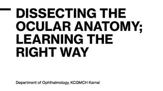 Dissecting the Ocular Anatomy  A Comprehensive Guide by Eye Surgeon ocular ophthalmology [upl. by Derfnam596]