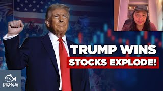 Trump Wins Stocks Explode Higher [upl. by Oisinoid594]