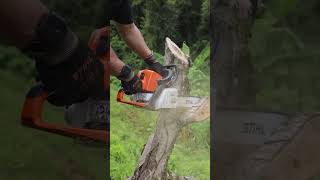 Motosierra Stihl MS 250 [upl. by Ahtamat]