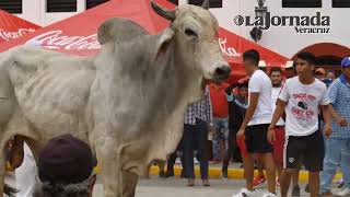 FIESTAS DE LA CANDELARIA 2022  Baja afluencia [upl. by Inanak]