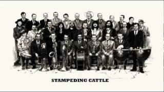 The Soul Jacket  Stampeding Cattle Album Wood Mama [upl. by Miyasawa]