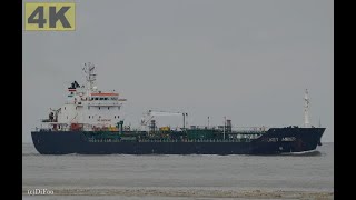 4K  ANUKET AMBER  Shipspotting Elbe near Otterndorf 🇩🇪  4K VIDEO [upl. by Fricke583]