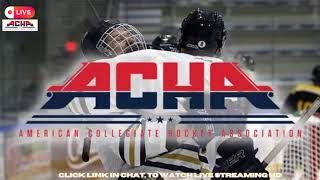 Clarkson University vs University of Connecticut ACHA Hockey 2024 Live Stream [upl. by Nivak]