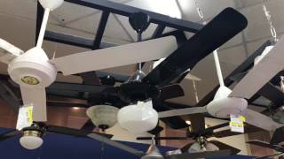 Ceiling Fans and FloorWallOrbital Fans at Ferreteria Cuesta 8317 [upl. by Scarrow]