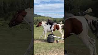 люблюлошадей врек horse action horseshow equestrian edit how stallion лошади horsestance [upl. by Seek310]