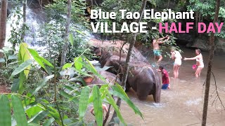 Half Day Elephant Tour Chiang Mai Blue Tao Elephant Village Thailand [upl. by Aisanahta]