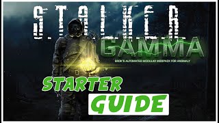 Complete Beginners Guide for STALKER GAMMA  Health System Crafting amp Repairs [upl. by Akselav540]