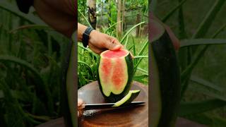 Watermelon cutting skills so fresh l Very fresh watermelon fruit 2024 satisfying shorts reels [upl. by Revlis820]