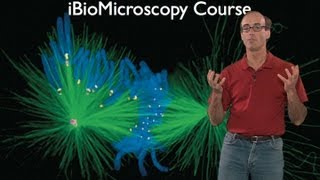 Microscopy What Can You Learn With a Light Microscope Ron Vale [upl. by Inalawi629]