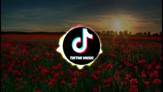 Jaymes Young  Infinity Official Audio  Tik Tok Remix1 Hora [upl. by Hedveh]