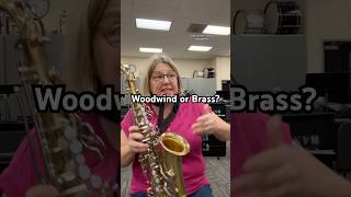 Should it be called a woodwind 🤔 banddirector band woodwind flute brass clarinet trumpet [upl. by Iggy]