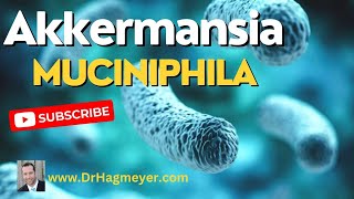 🦠How to increase Akkermansia muciniphila Low Levels of Akkermansia MuciniphilaDr Richard Hagmeyer [upl. by Ellyn970]