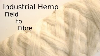 Processing Hemp from the field to textile fibre [upl. by Nuhsed]