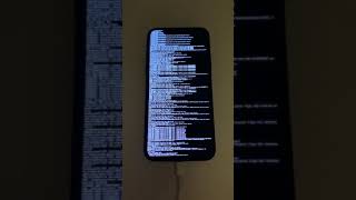 HACKED Verbose booting iPhone X [upl. by Skipp471]