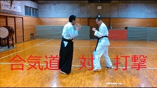 合気道の打撃との戦い方！打撃の捌き組手 覇天会（打撃自由技組手） 合気道 対 打撃 AIKIDO VS striking Fight in Aikido айкидо 合气道 [upl. by Schlessinger]