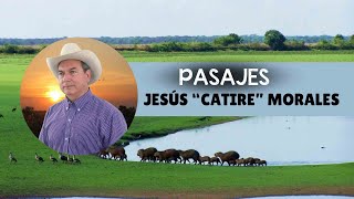 PASAJES LLANEROS DE JESÚS CATIRE MORALES [upl. by Riannon]