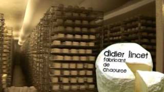 Premier voyage au pays des bons fromages AOP [upl. by Ahtreb]