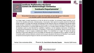 20241111 Seminario Departamental [upl. by Cynthie446]