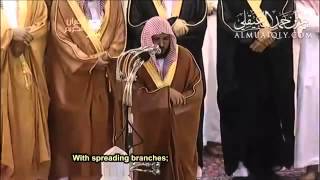 Surah Ar Rahman By Sheikh Maher Al Muaiqly English Translation [upl. by Rube]