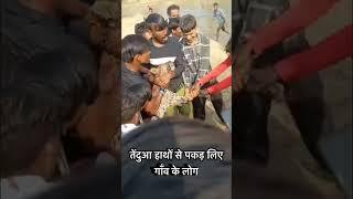 Tindua ￼ Pakad liye Gaon Ke Log vishalsingh funny vishalsingh arijitsingh funnymoment [upl. by Noved]