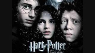 john williamsDouble Trouble harry potter soundtrack [upl. by Burnie]