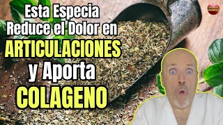 😱 ESTA ESPECIA REDUCE EL DOLOR EN LAS ARTICULACIONES Y APORTA COLAGENO 😱 [upl. by Mahoney32]