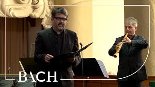 Bach  Cantata Sehet wir gehn hinauf BWV 159  Van Veldhoven  Netherlands Bach Society [upl. by Eelrak]