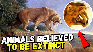 Top 10 Animals Believed To Be Extinct Caught On Camera [upl. by Sloane]