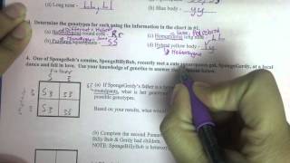 Bikini Bottom Genetics 2 Answers [upl. by Bugbee12]