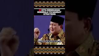 🔴KITA MENGUASAI MINERAL2 YG SANGAT STRATEGIS  PRESIDEN PRABOWO [upl. by Arimihc554]