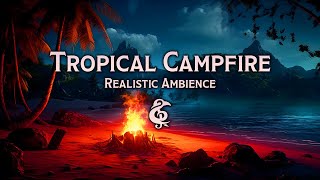 3 Hours of Realistic Ambience  Tropical Campfire Coast Waves  DampDRPG Series [upl. by Akeme]