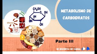 Metabolismo de Carboidratos 3  Fermentações reedição [upl. by Harberd919]