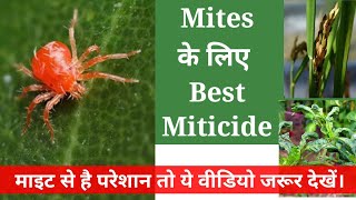 Mites Best Miticide Insecticide। [upl. by Anahcar272]