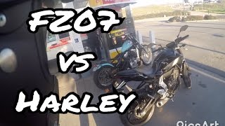 Yamaha FZ07 vs Harley Davidson Sportster [upl. by Wehttam]