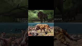 17 biggest prehistoric cenozoic Landpredators prehistoric paleontology prehistoriclife animals [upl. by Akineg]