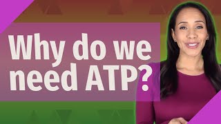 Why do we need ATP [upl. by Gilford36]