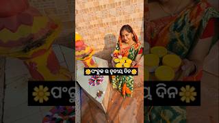 ଶାଶୁ ଙ୍କ ପୁଅ ସାଜିଲେ କୁମ୍ଭକର୍ଣ୍ଣ 😡😱minivlog odiavlog odisha mayurbhanja shortvideo YouTube [upl. by Elram]