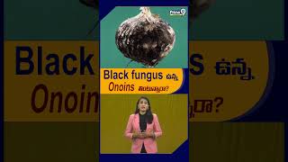 Black fungus ఉన్న Onions తింటున్నారా  fungus  onions  Prime9info [upl. by Ainedrag]