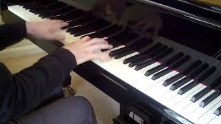 Tansman Toccata Diversions no10 for piano [upl. by Aihsyak387]